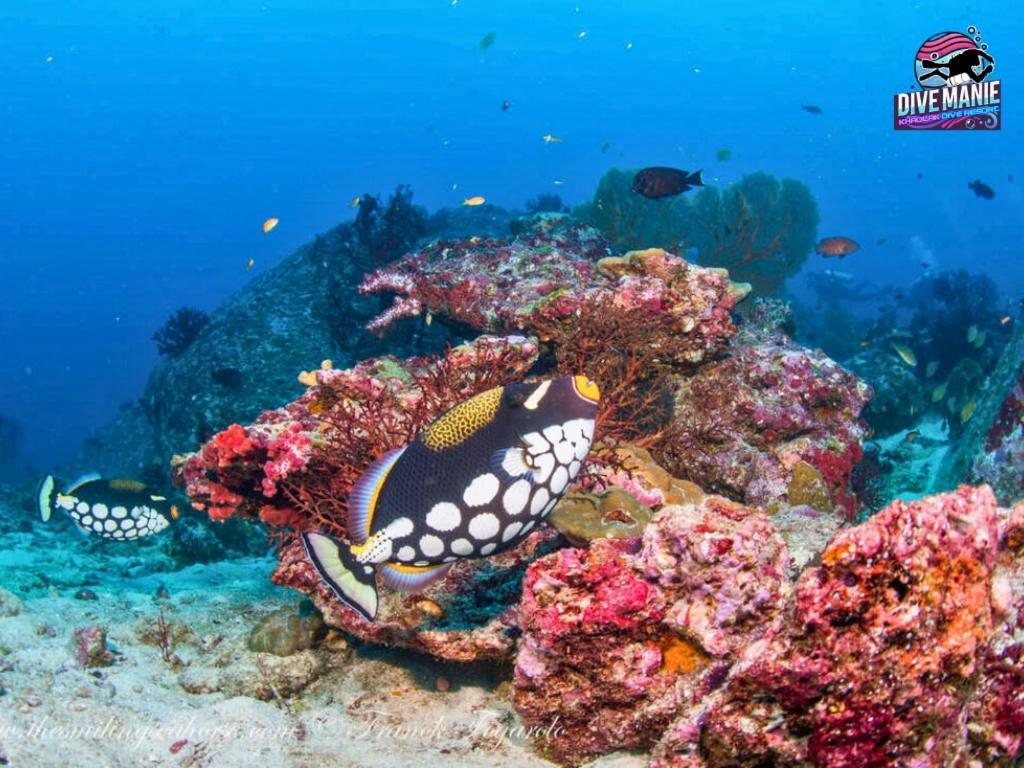 Khaolak Dive Resort Khao Lak Exteriör bild