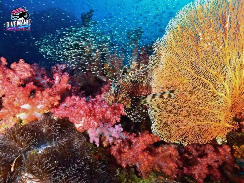 Khaolak Dive Resort Khao Lak Exteriör bild